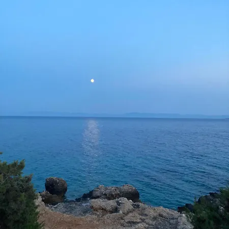 Sea View Eco House With Pool, 250m To - Falcon View Hvar