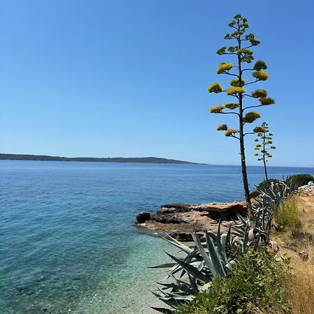 Sea View Eco House With Pool, 250m To - Falcon View Hvar
